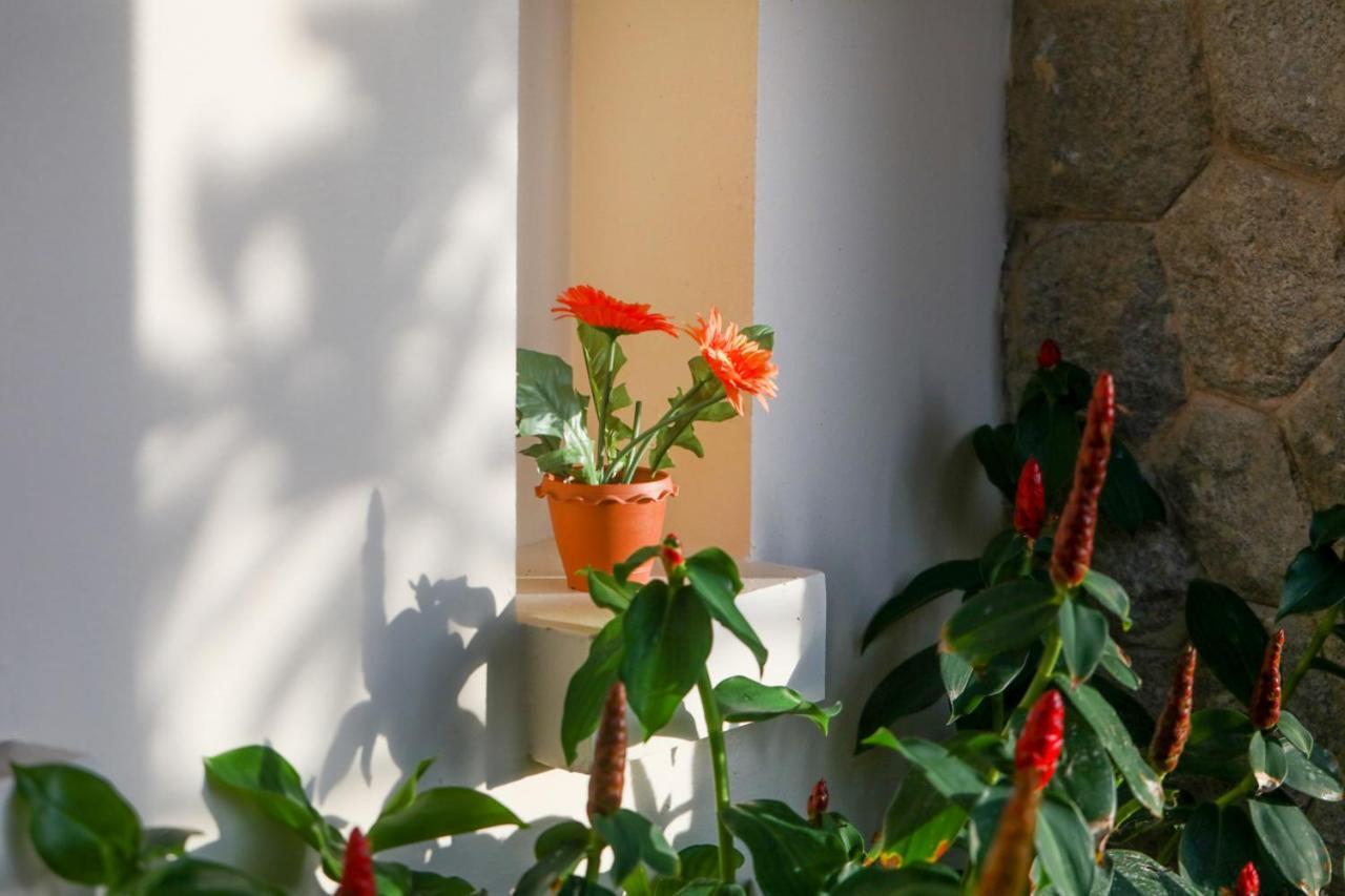Prima Villas Karon Phuket Bankaron Kültér fotó